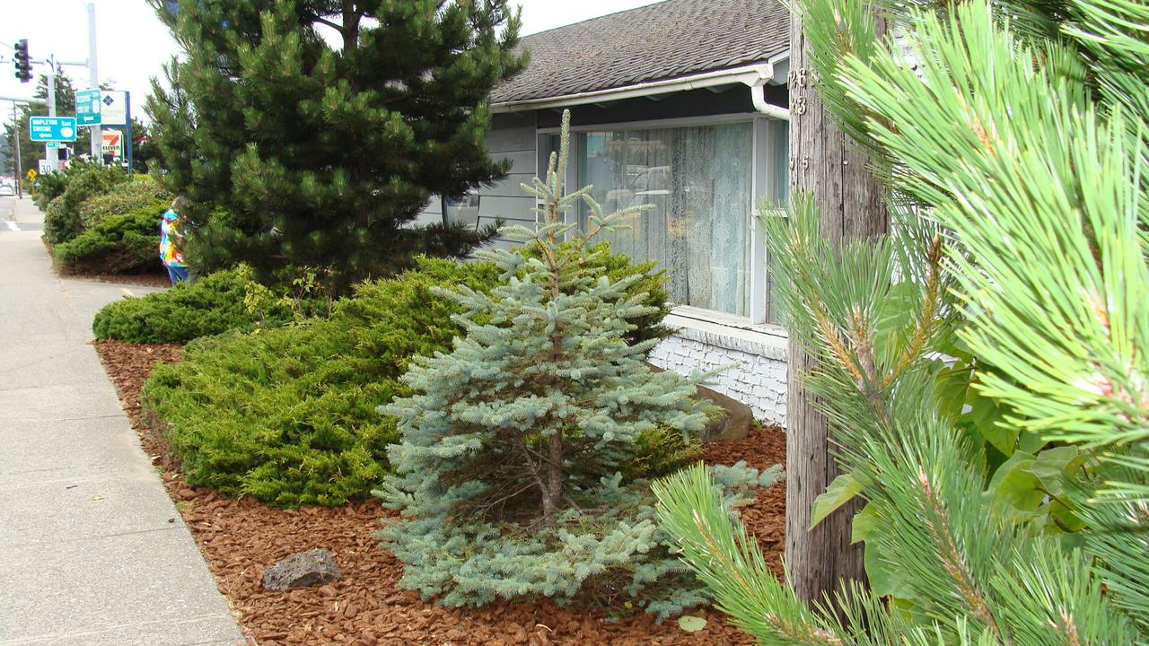 Villa West Motel - thumb 18
