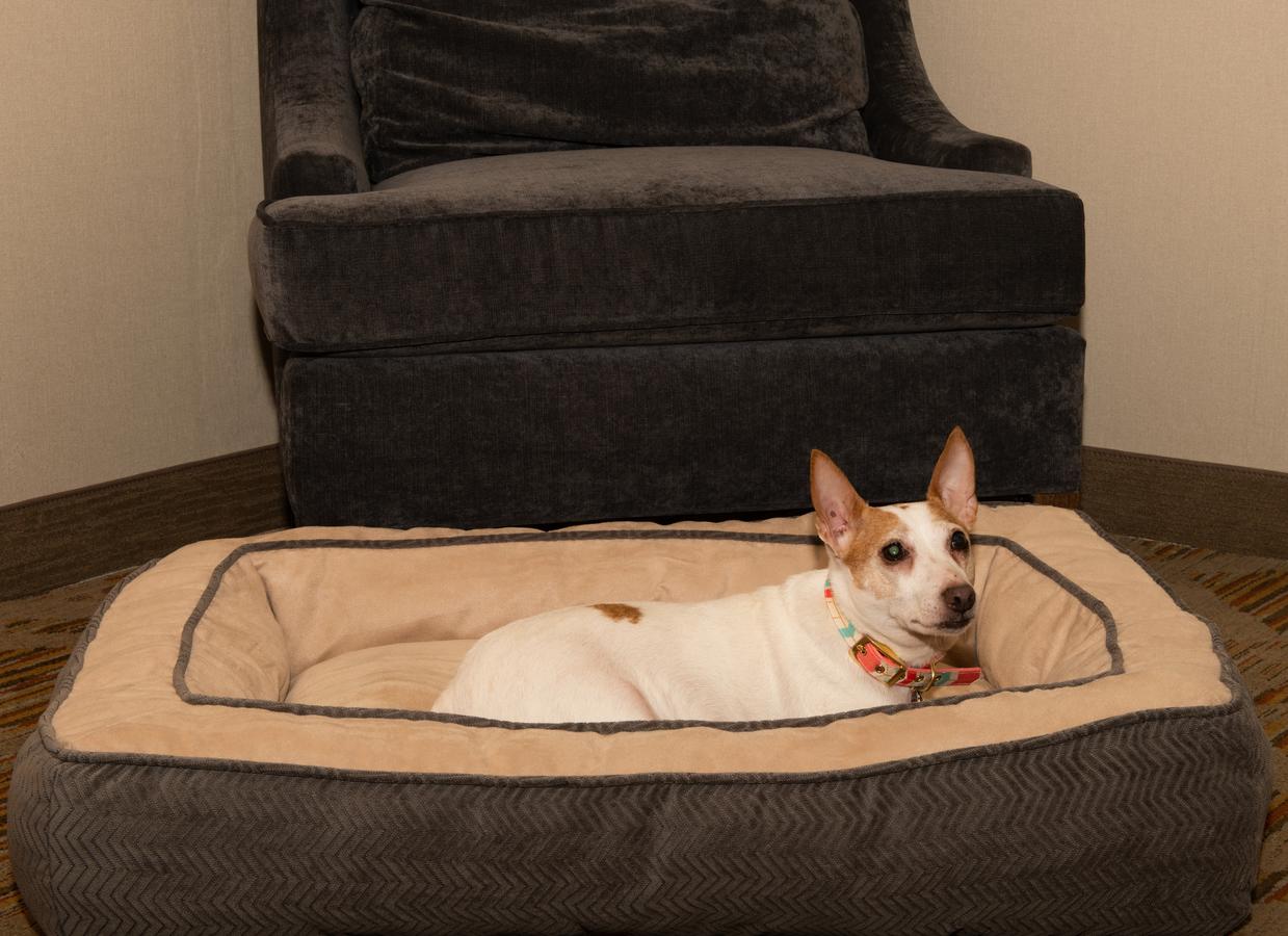 DoubleTree Suites By Hilton Philadelphia West - thumb 40