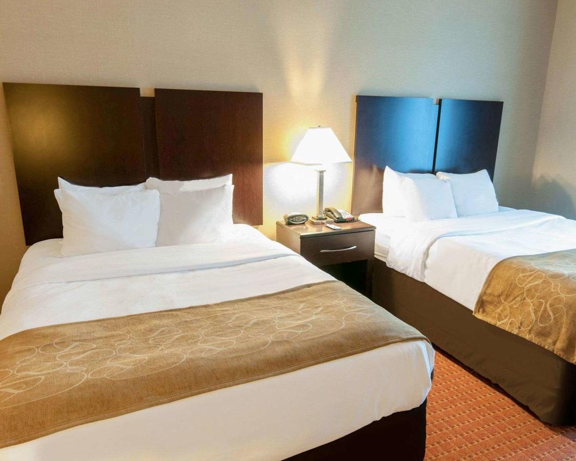 Comfort Suites Exton/West Chester - thumb 31