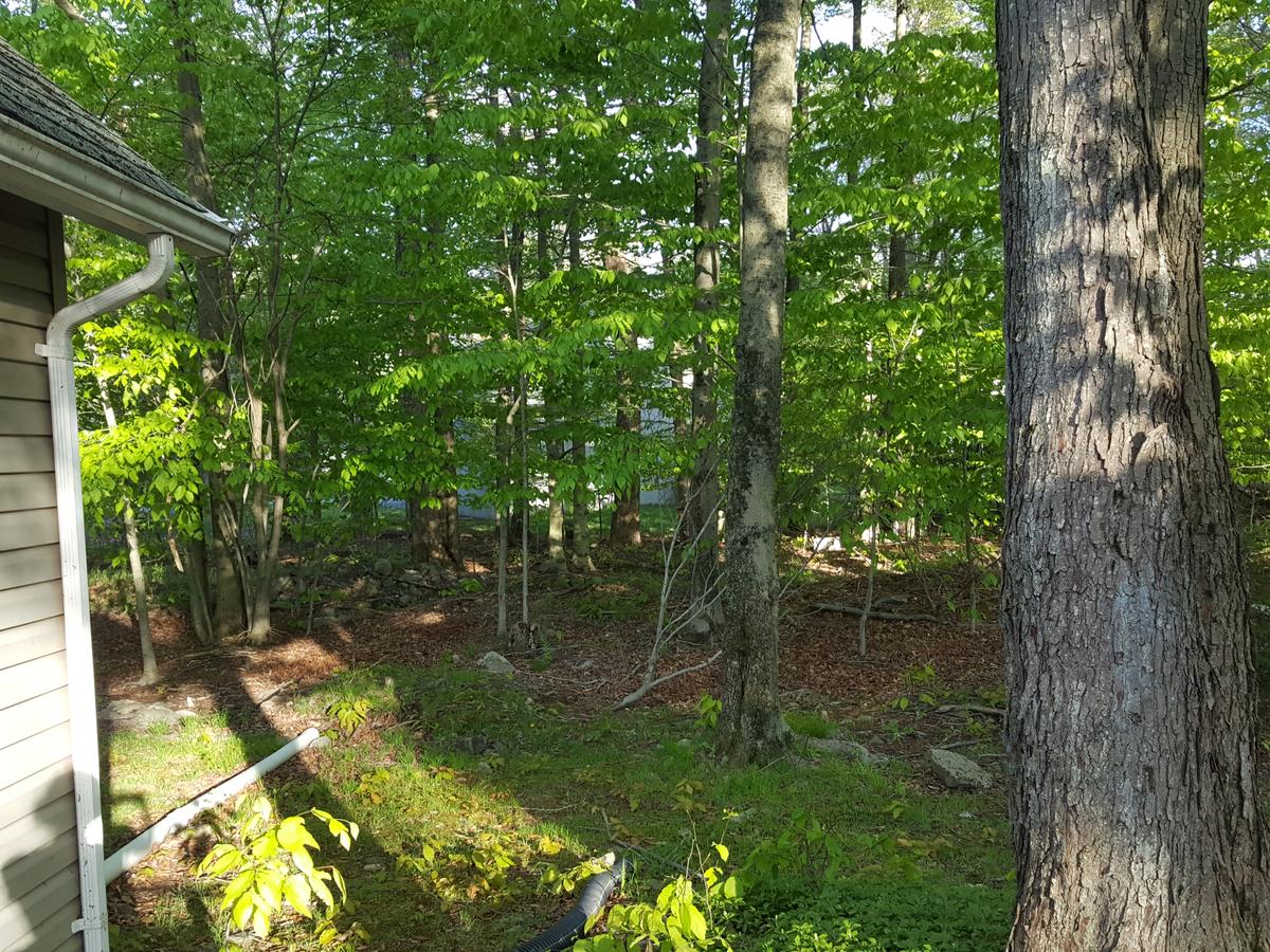 Cozy Chalet Free Wi-Fi, And Grill - thumb 5