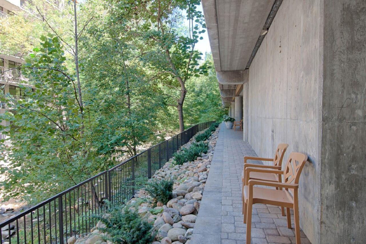 Bearskin Lodge On The River - thumb 20