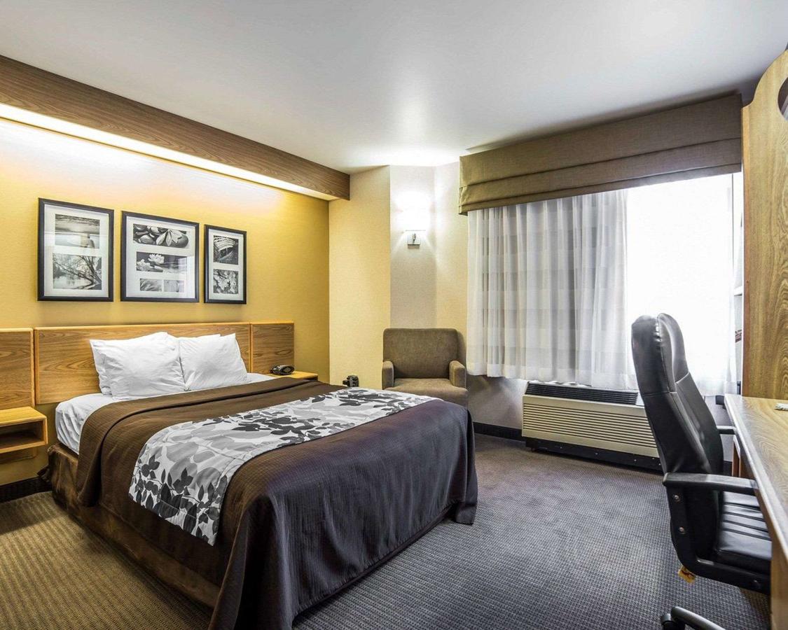 Quality Inn Moab Slickrock Area - thumb 16