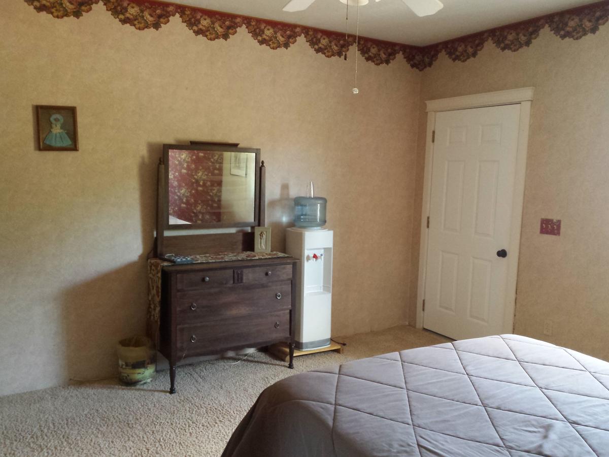 Sunlit Oasis - thumb 6