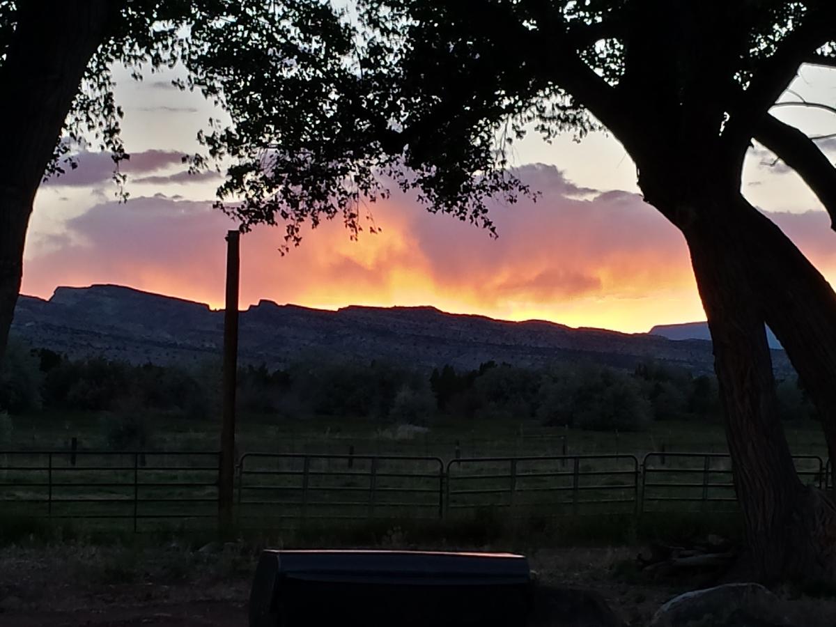 Sunlit Oasis - thumb 21