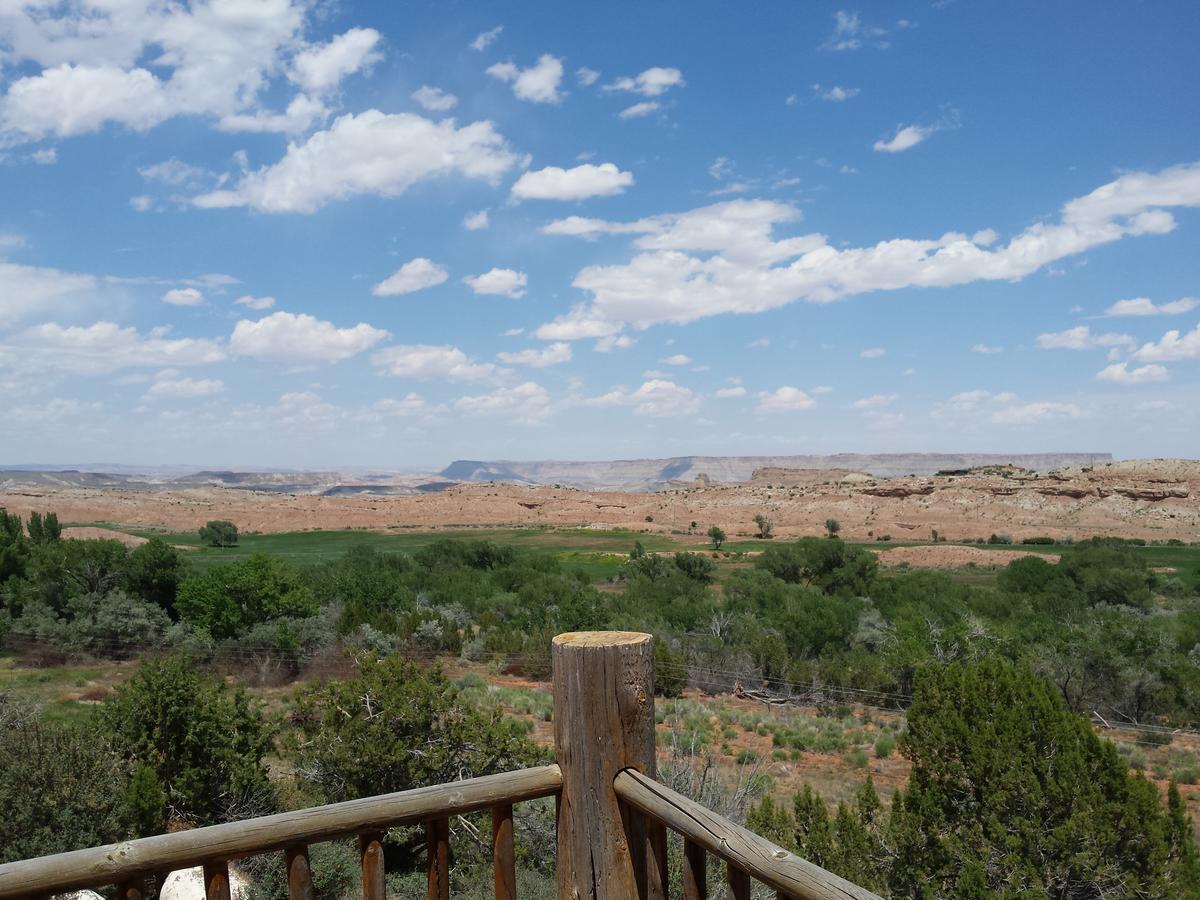 Sunlit Oasis - thumb 23