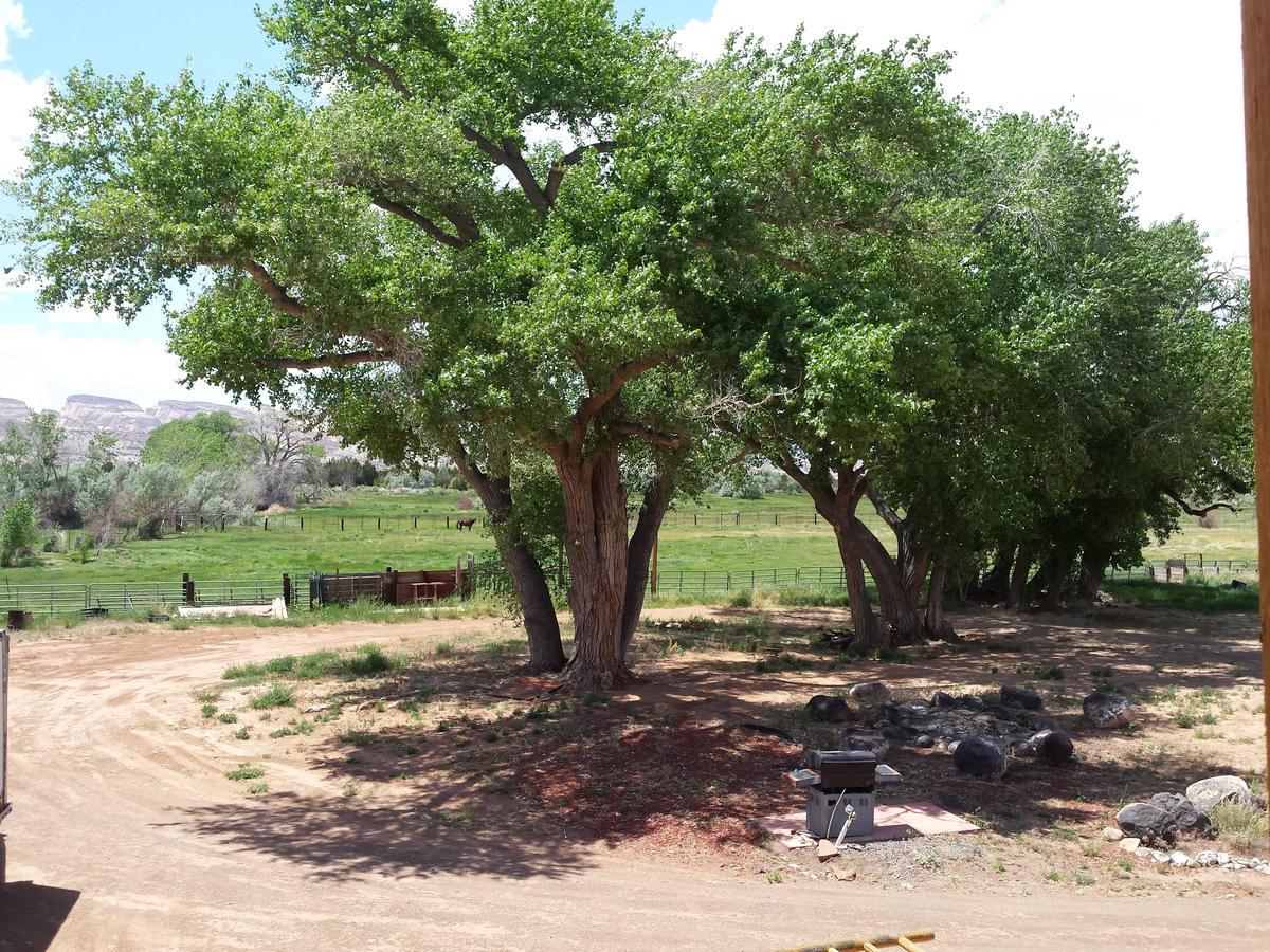 Sunlit Oasis - thumb 16