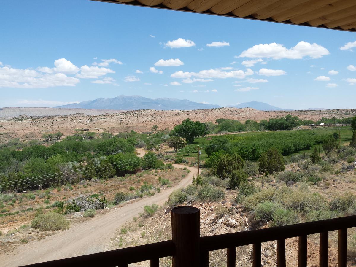 Sunlit Oasis - thumb 19