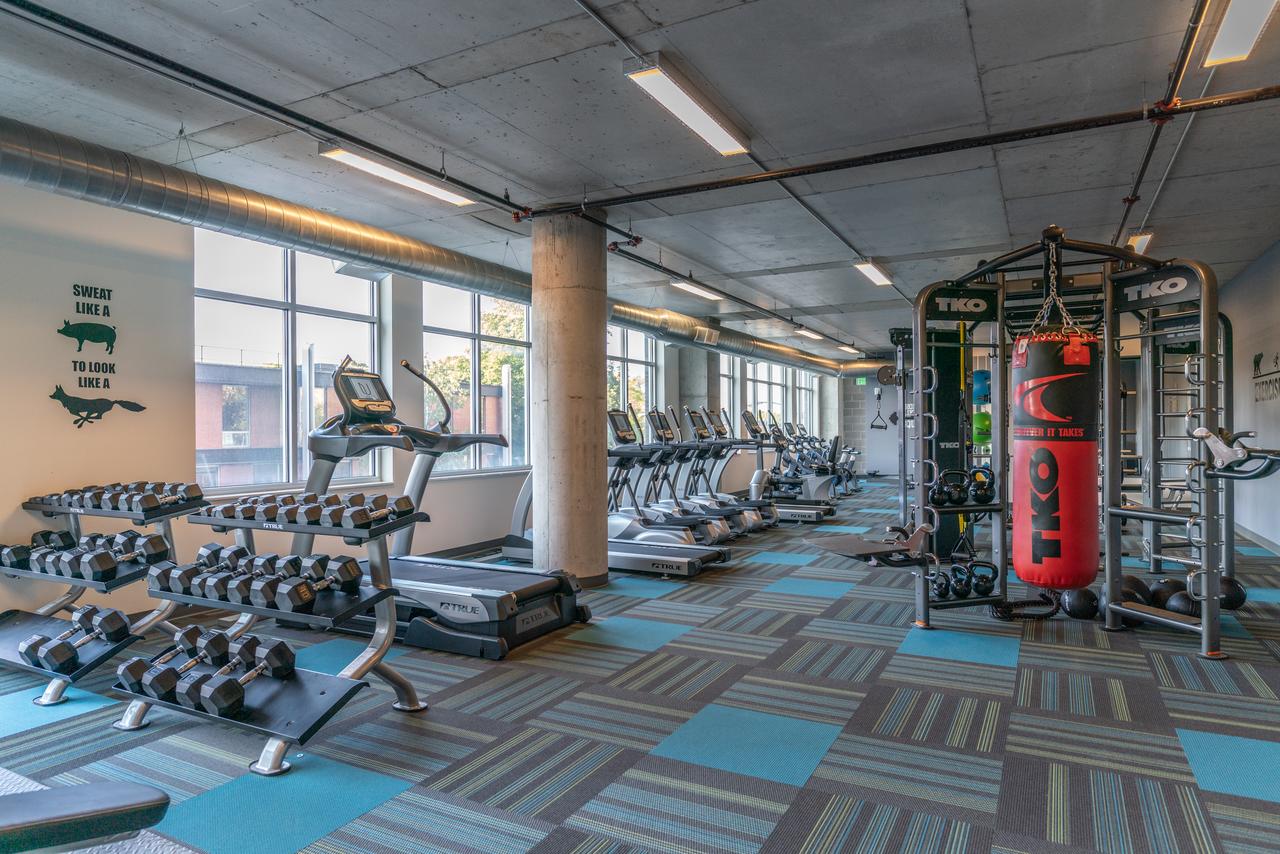 Lake Michigan Lux Apartments By Barsala - thumb 5