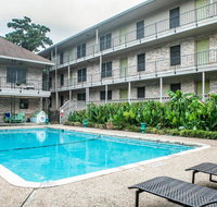 Chic Apts in Central Austin by WanderJaunt - Hotels Find