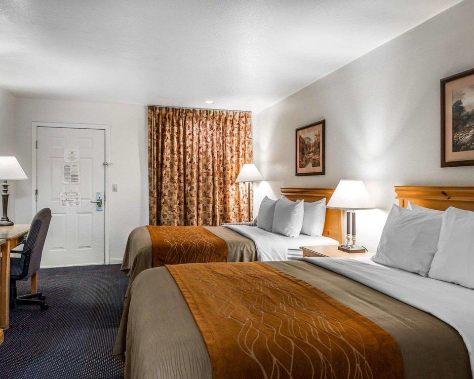 Comfort Inn & Suites Sequoia Kings Canyon - Three Rivers - thumb 3