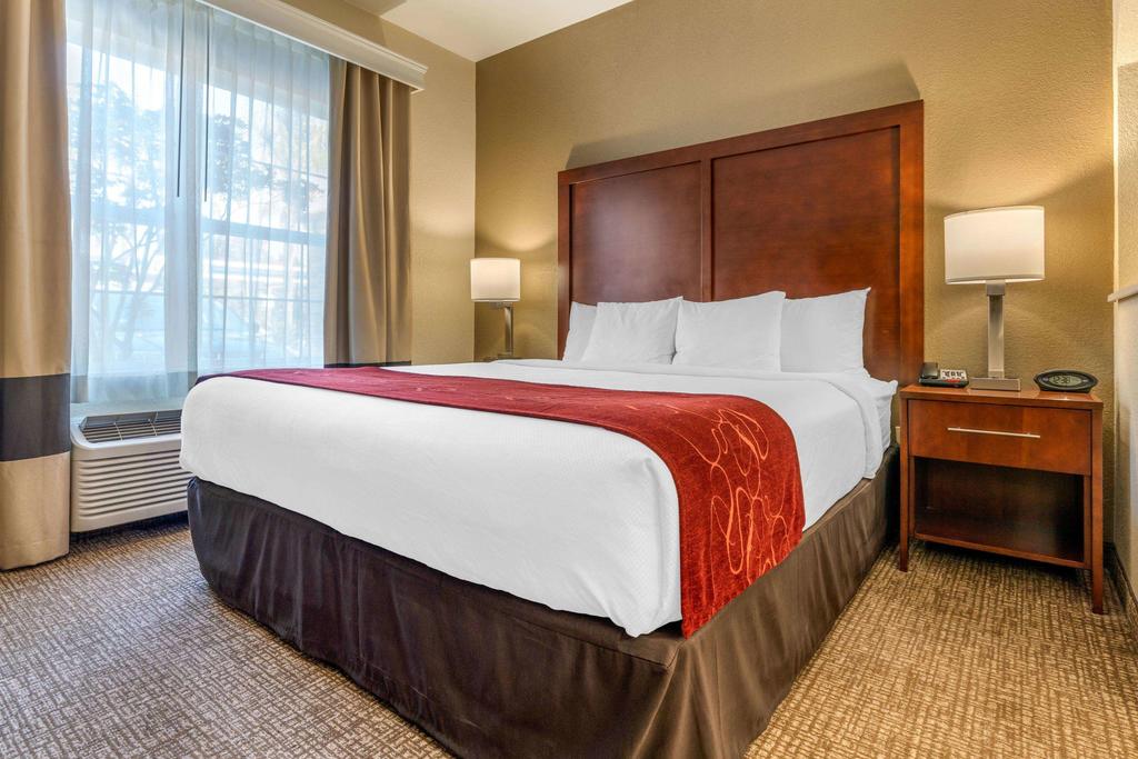 Comfort Suites Downtown Sacramento - thumb 1