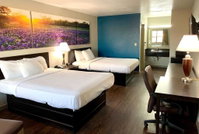  Hotels Find