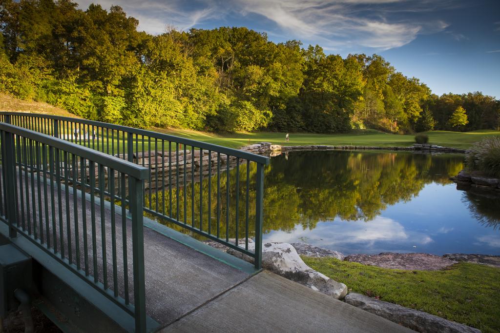 Grey Moose Lodge Cabin - thumb 2