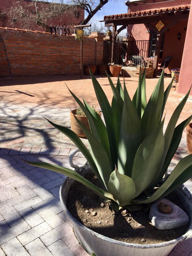 Historic Valle Verde Ranch - thumb 28
