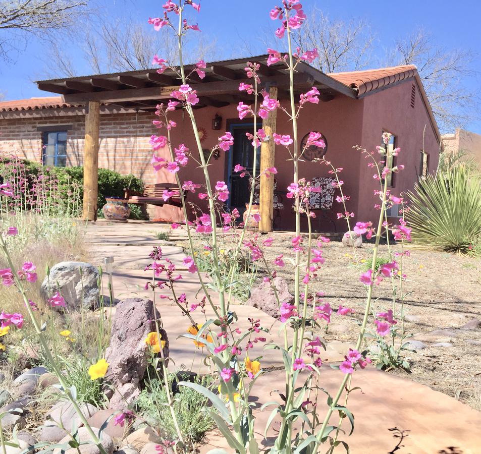 Historic Valle Verde Ranch - thumb 9