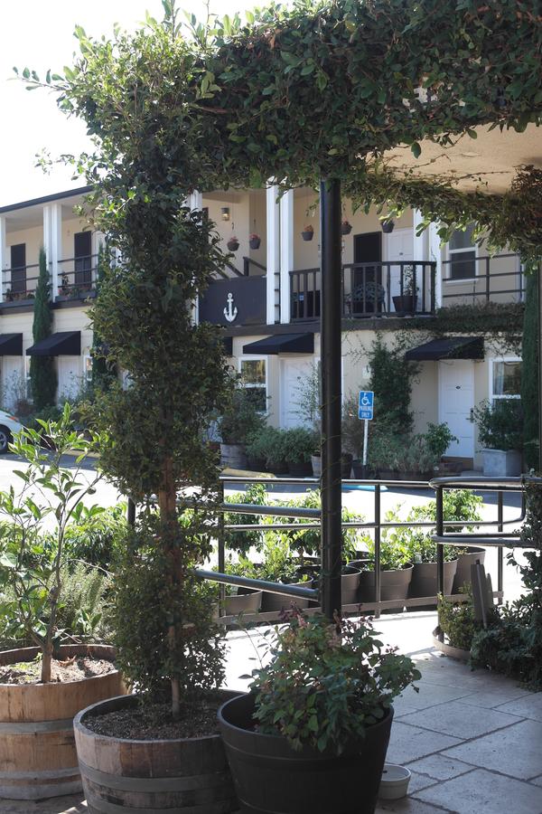 Seaside Laguna Inn & Suites - thumb 11