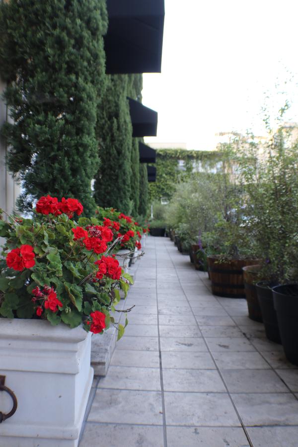 Seaside Laguna Inn & Suites - thumb 1