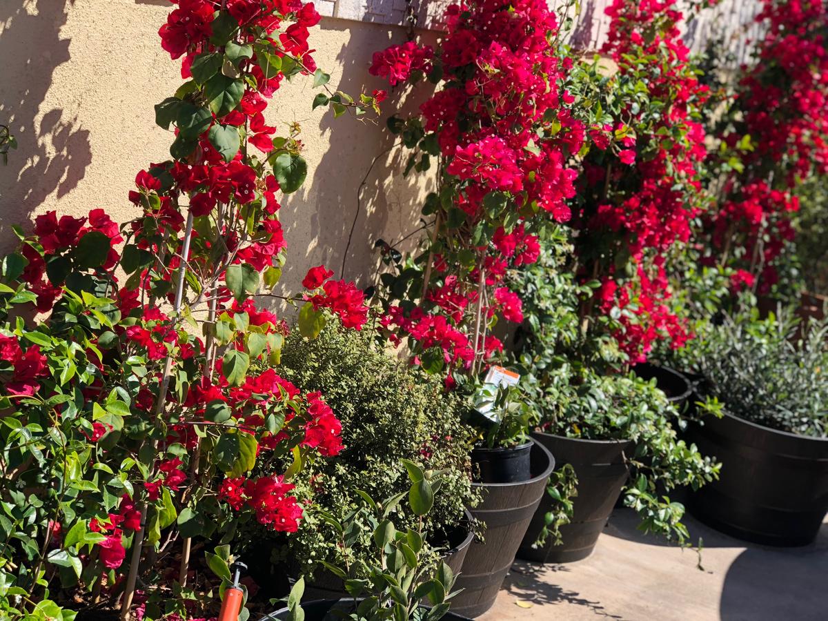 Seaside Laguna Inn & Suites - thumb 33