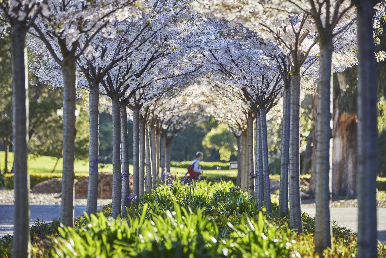 Graduate Berkeley - thumb 23