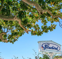 Bluebird Inn - Hotels Find