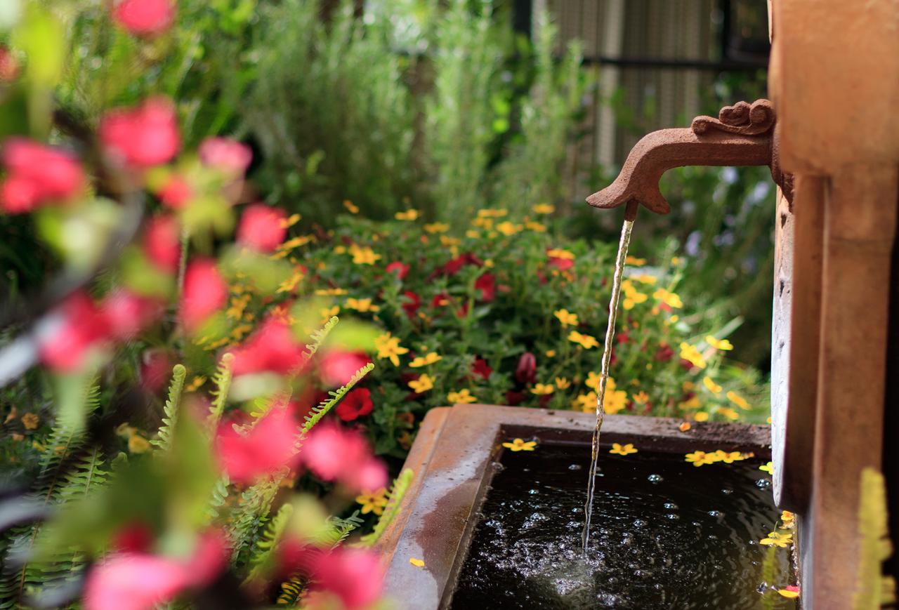 Casa Laguna Hotel & Spa - thumb 43