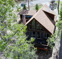 Tree Top Treasure - Hotels Find