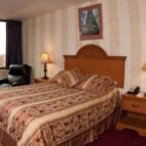 Amsterdam Hotel - thumb 4