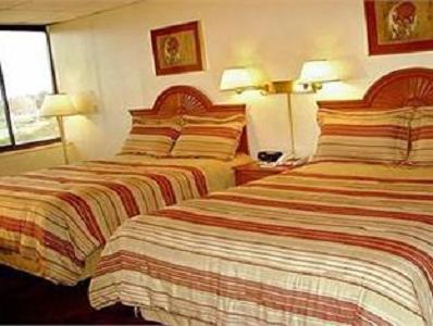 Amsterdam Hotel - thumb 15