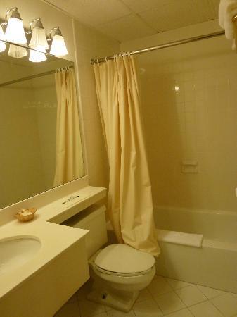 Amsterdam Hotel - thumb 16