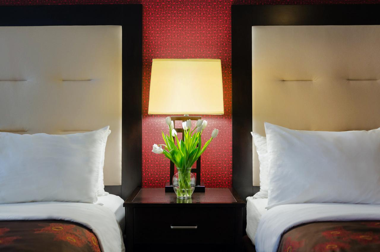 Hotel Zero Degrees Downtown Stamford - thumb 13