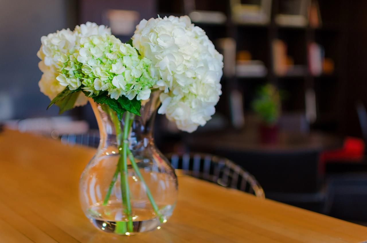 Hotel Zero Degrees Downtown Stamford - thumb 9