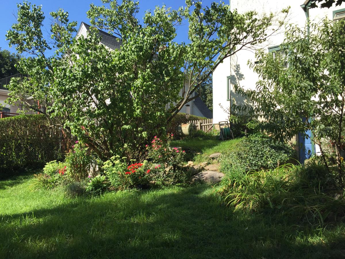 Charm, Comfort, And Coffee - thumb 3