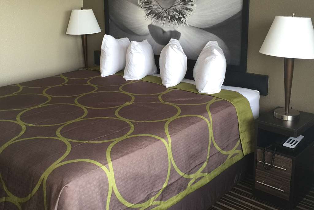 Super 8 By Wyndham Florence - thumb 5