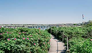 Harborview Nantucket Luxury Cottages - thumb 1