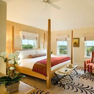 White Elephant - thumb 3