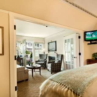 White Elephant - thumb 15