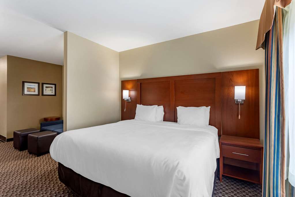 Comfort Inn & Suites Carbondale - thumb 5