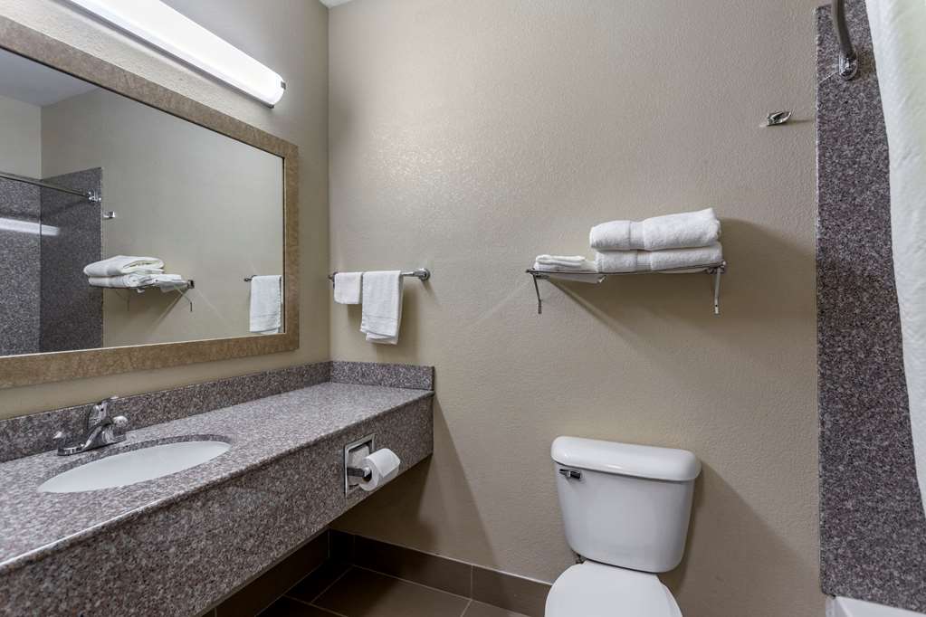 Comfort Inn & Suites Carbondale - thumb 6