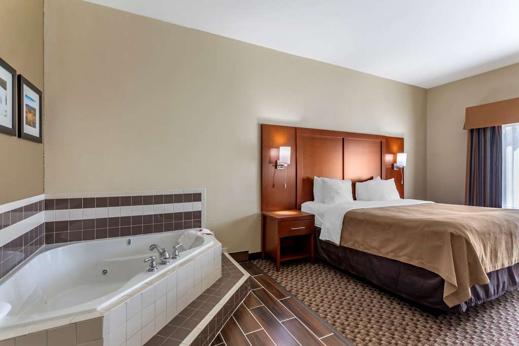 Comfort Inn & Suites Carbondale - thumb 7