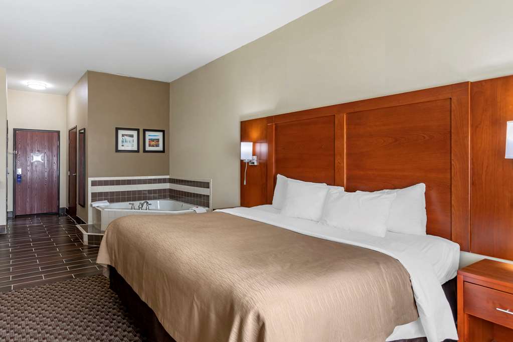 Comfort Inn & Suites Carbondale - thumb 9