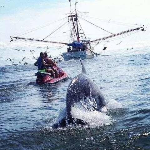 Marina Inn At Grande Dunes - thumb 32