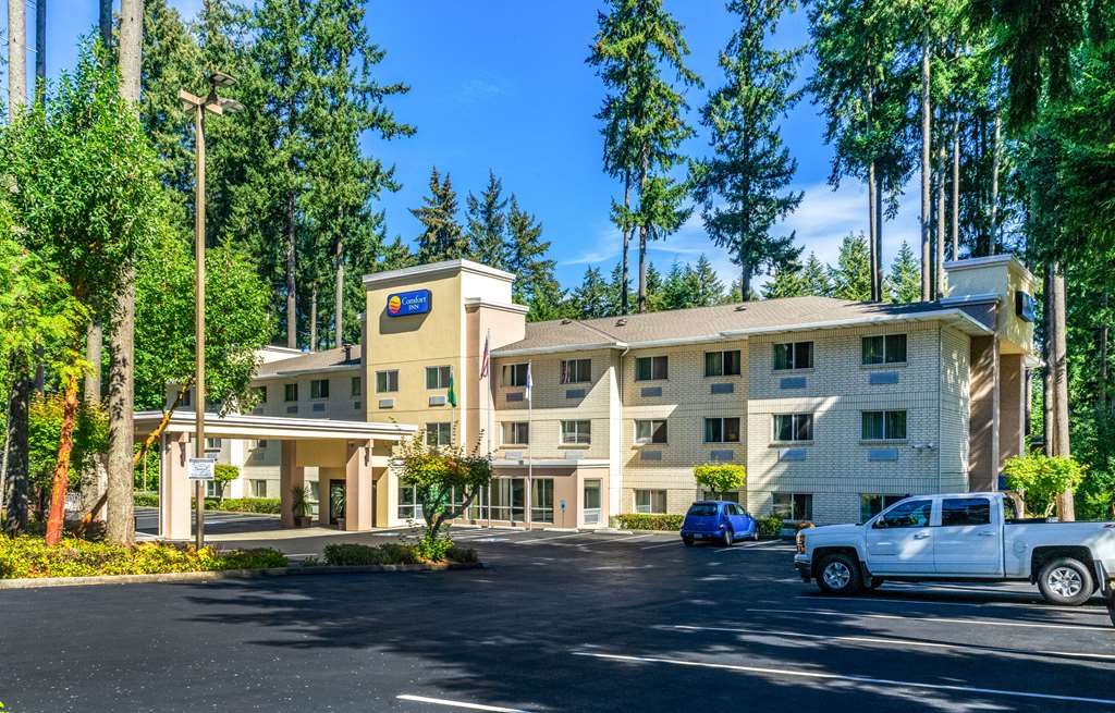 Comfort Inn - thumb 1