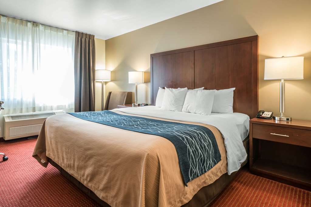Comfort Inn - thumb 4