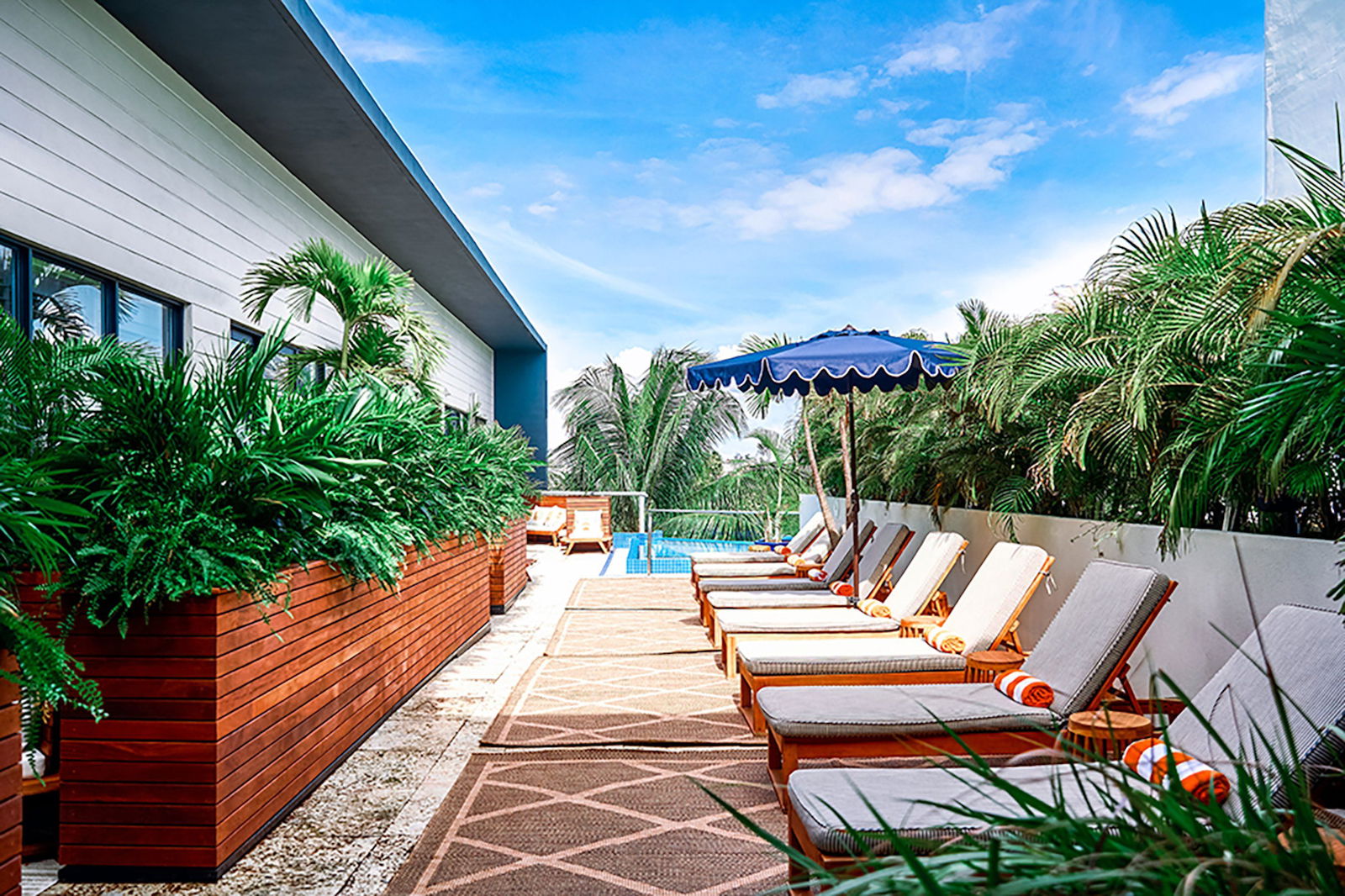 KAYAK Miami Beach - thumb 2