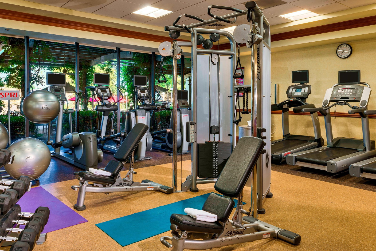 Sacramento Marriott Rancho Cordova - thumb 16