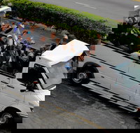 Hollywood Sightseeing and Celebrity Homes Tour by Open-Top Bus - Hotels Find