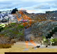 Griffith Observatory Hike Hollywood Hills Walk in Griffith Park - Hotels Find