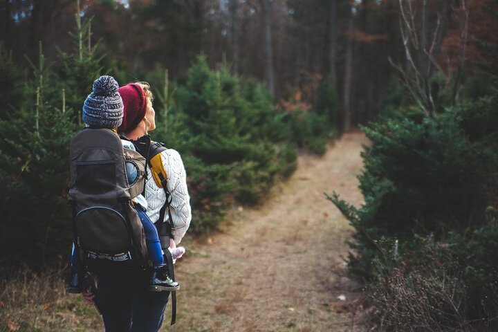 Family-Friendly Nature Hike Around The Big Bear Valley - thumb 2
