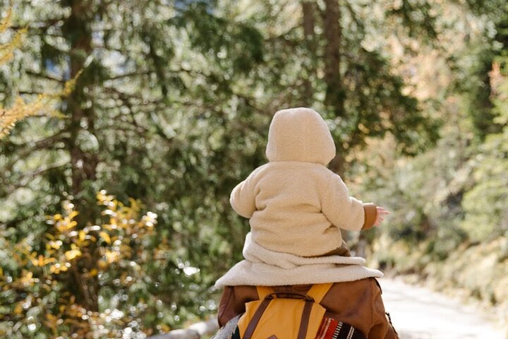 Family-Friendly Nature Hike Around The Big Bear Valley - thumb 5