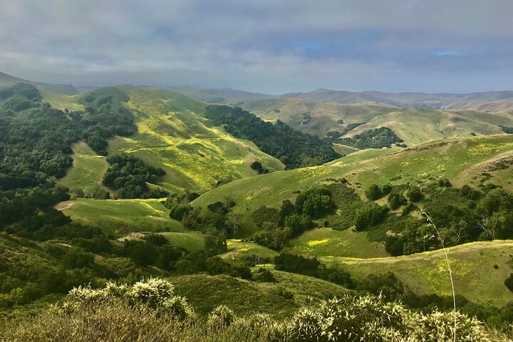 A La La Tour - Private Tour Of California's Central Coast - thumb 0